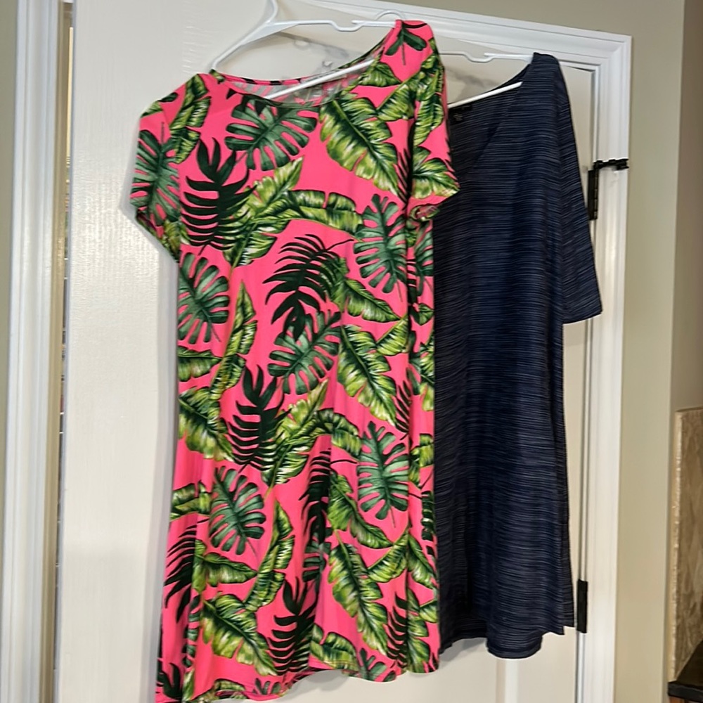 2 Dresses Excellent Size Large